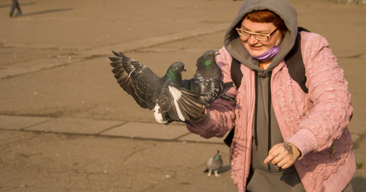 Urban Birds in a New Study Let Men Get About a Metre Closer than Women Before Flying Away, and the...