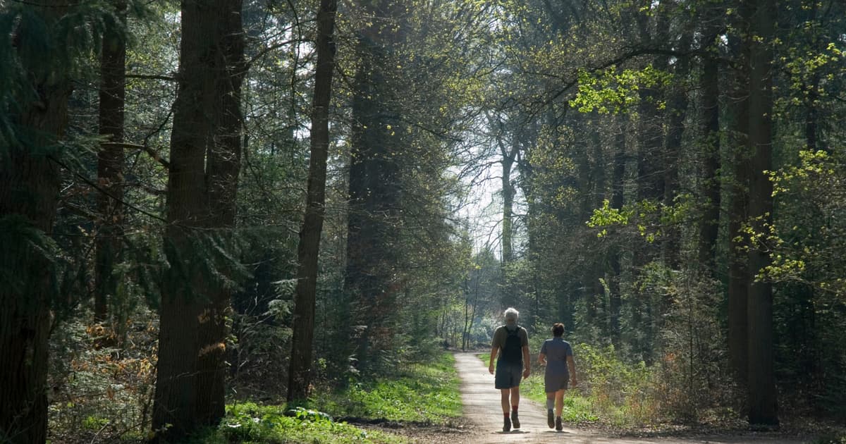 A Study of Nearly 20,000 People Found There’s a Weekly Amount of Time in Nature Linked to Real Gains in...