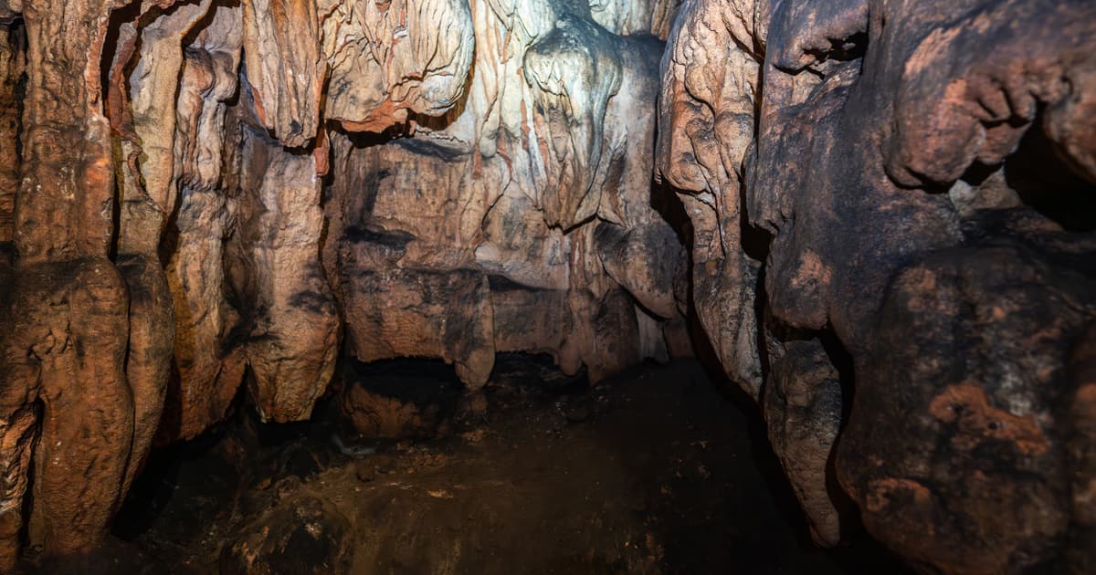 A Survey of 64 Limestone Caves in Cambodia, Reported in March 2026, Turned up Around 11 Species New to Science,...