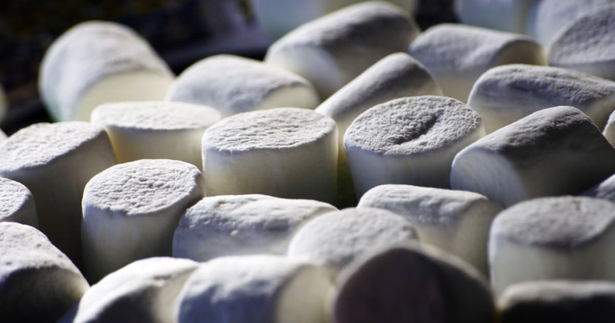 The Marshmallow Test, Redone with Ten Times as Many Children, Found that a Four-Year-Old’s Willpower Mostly Stopped Predicting Teenage Success...