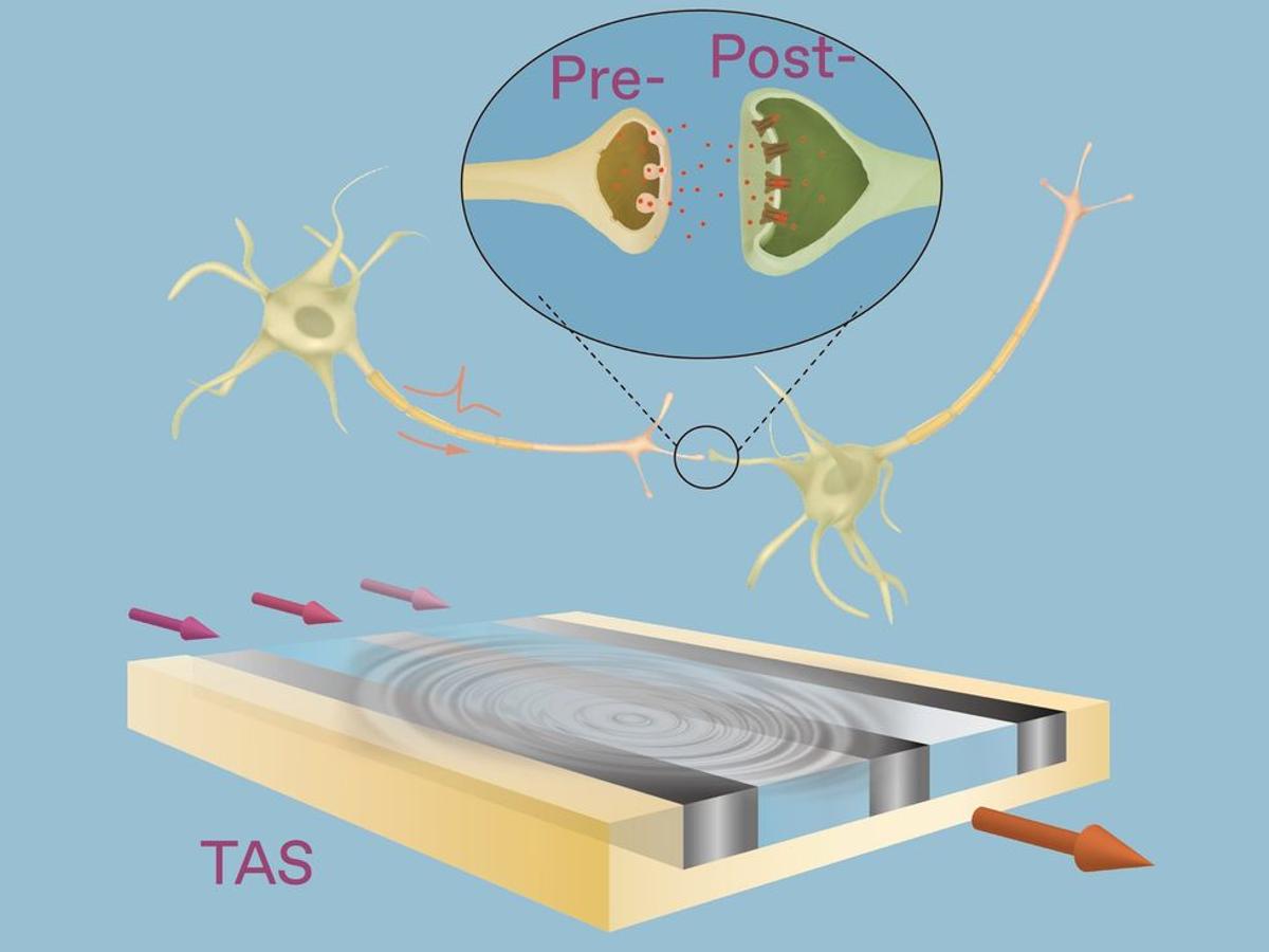 Sound Waves Give Neuromorphic Chips a Brain-Simulating Edge