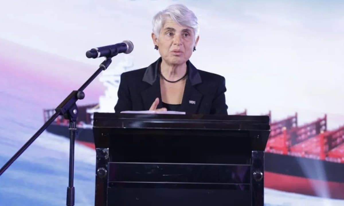 Navios Lines up $134m Capesize Duo