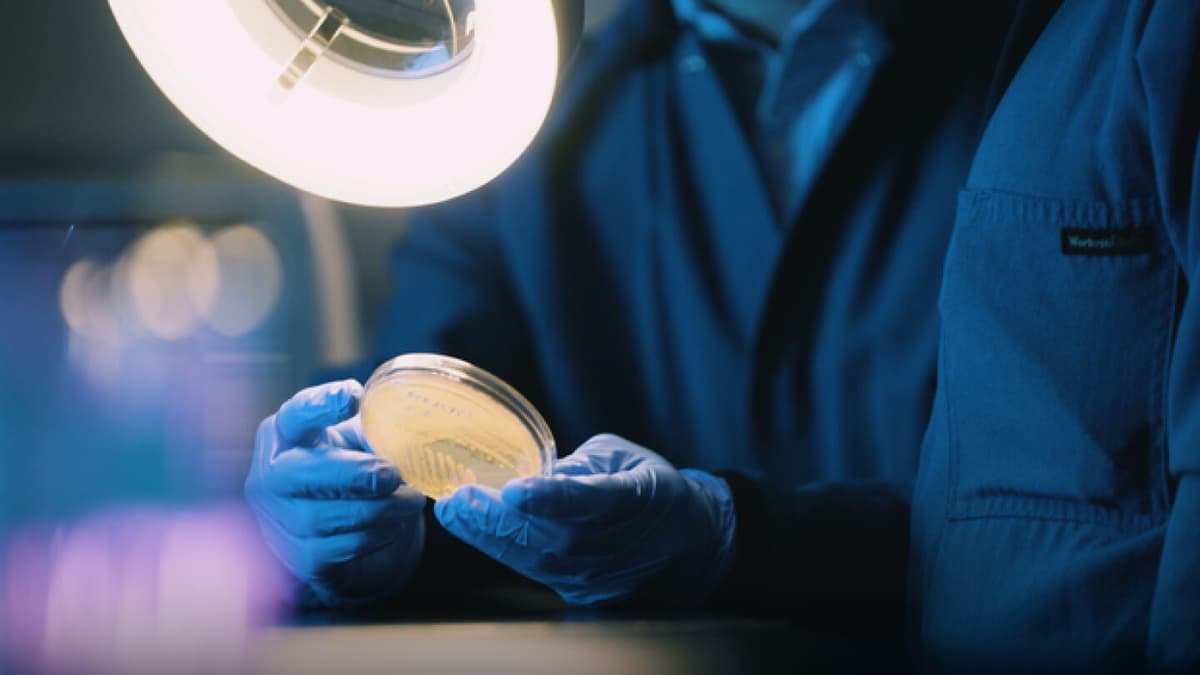 LOTTE Biologics Tightens Global Quality as Syracuse ADC Hub Ramps for 2026