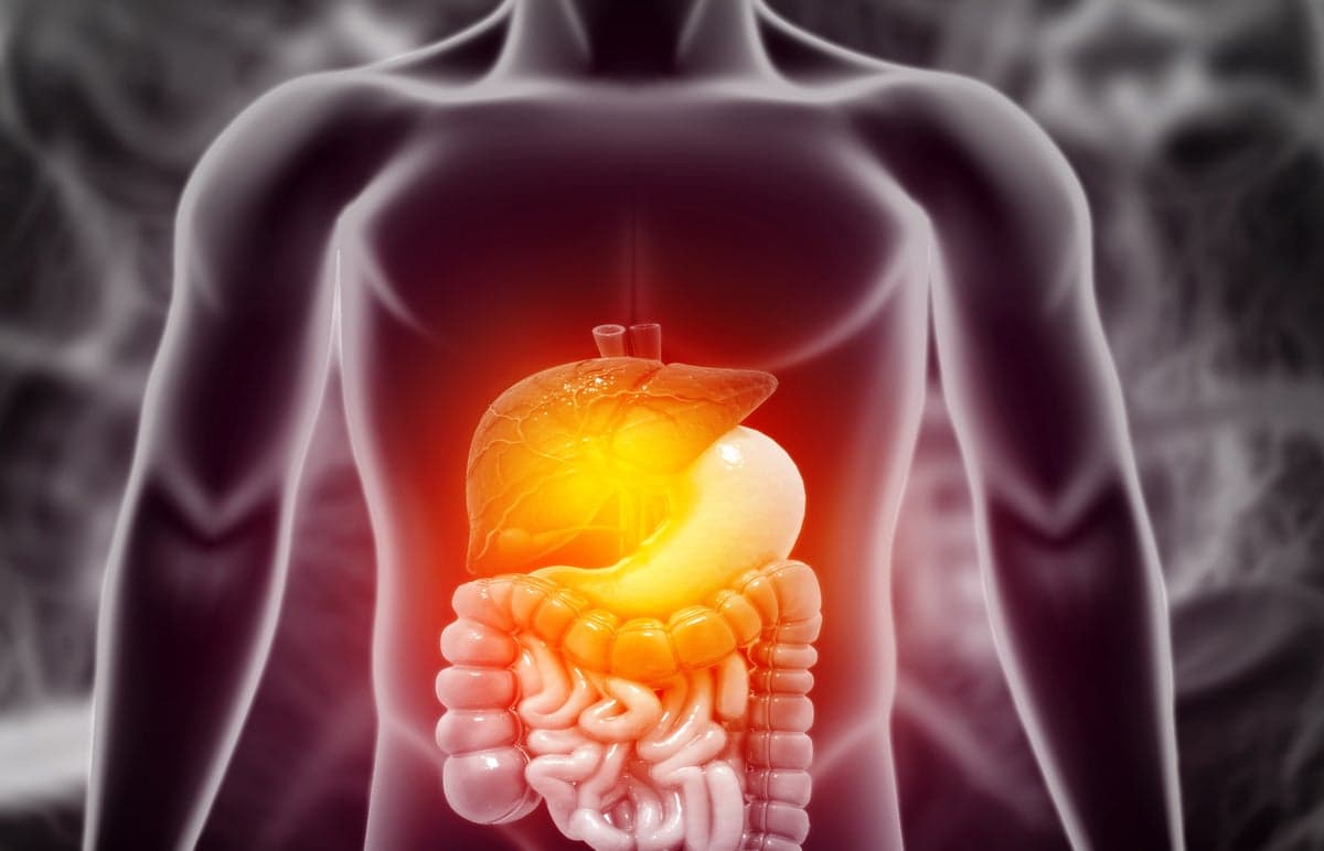 Zepbound’s and Ozempic’s Greatest Benefit May Be Their Anti-Inflammatory Power