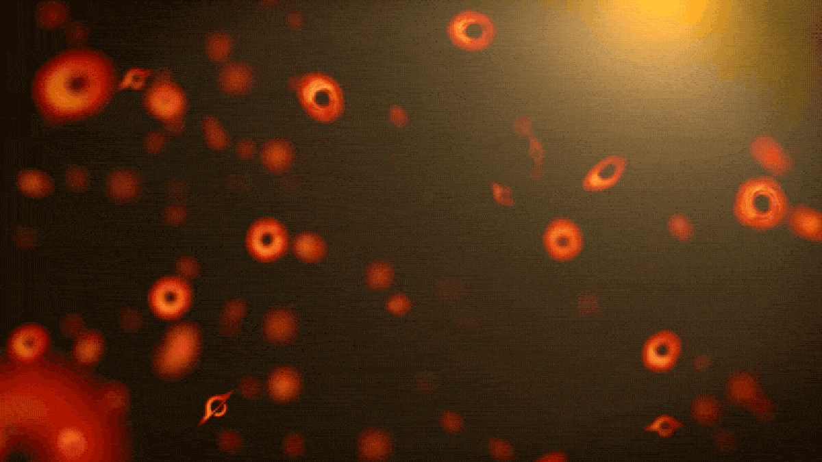 Did We Just See a Primordial Black Hole at the Milky Way’s Edge?