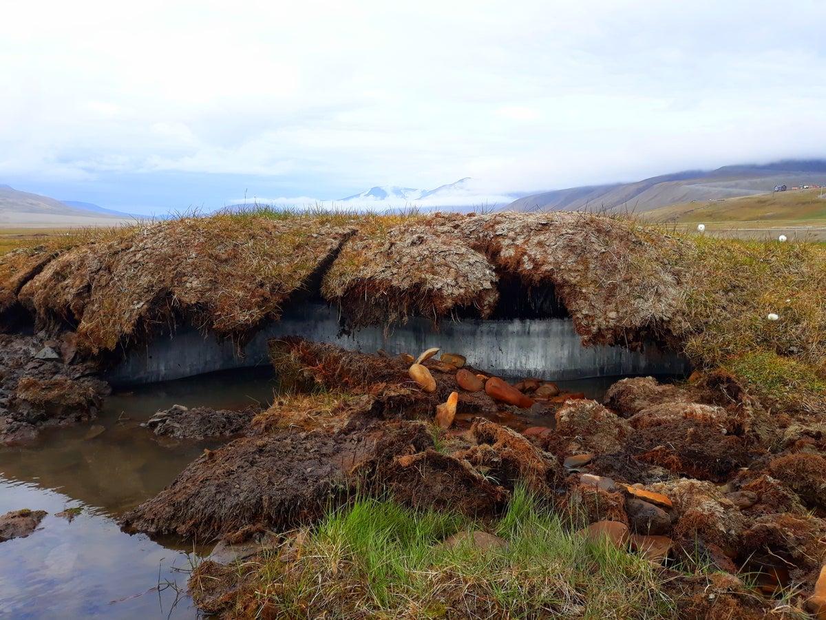 Earth’s Permafrost Could Soon Release Hidden ‘Deep Carbon,’ Supercharging Warming