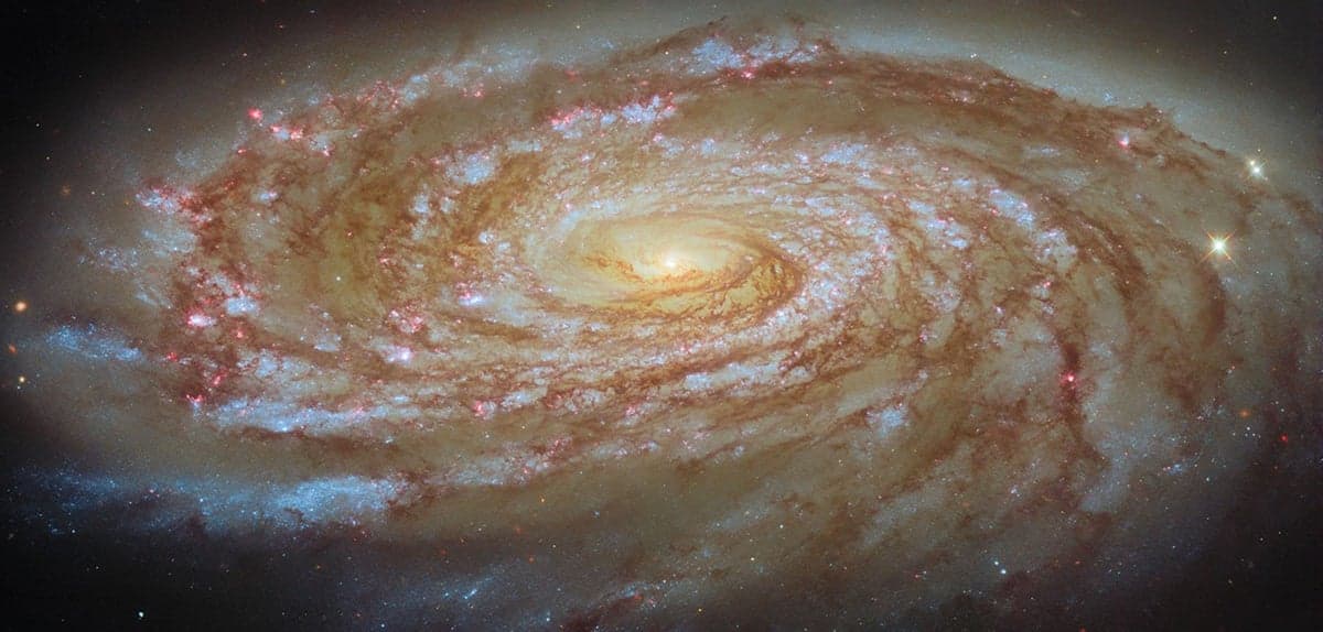 NASA’s Hubble Captures Gorgeous New Photo of a Spiral Galaxy as It Wanders Through the Virgo Cluster