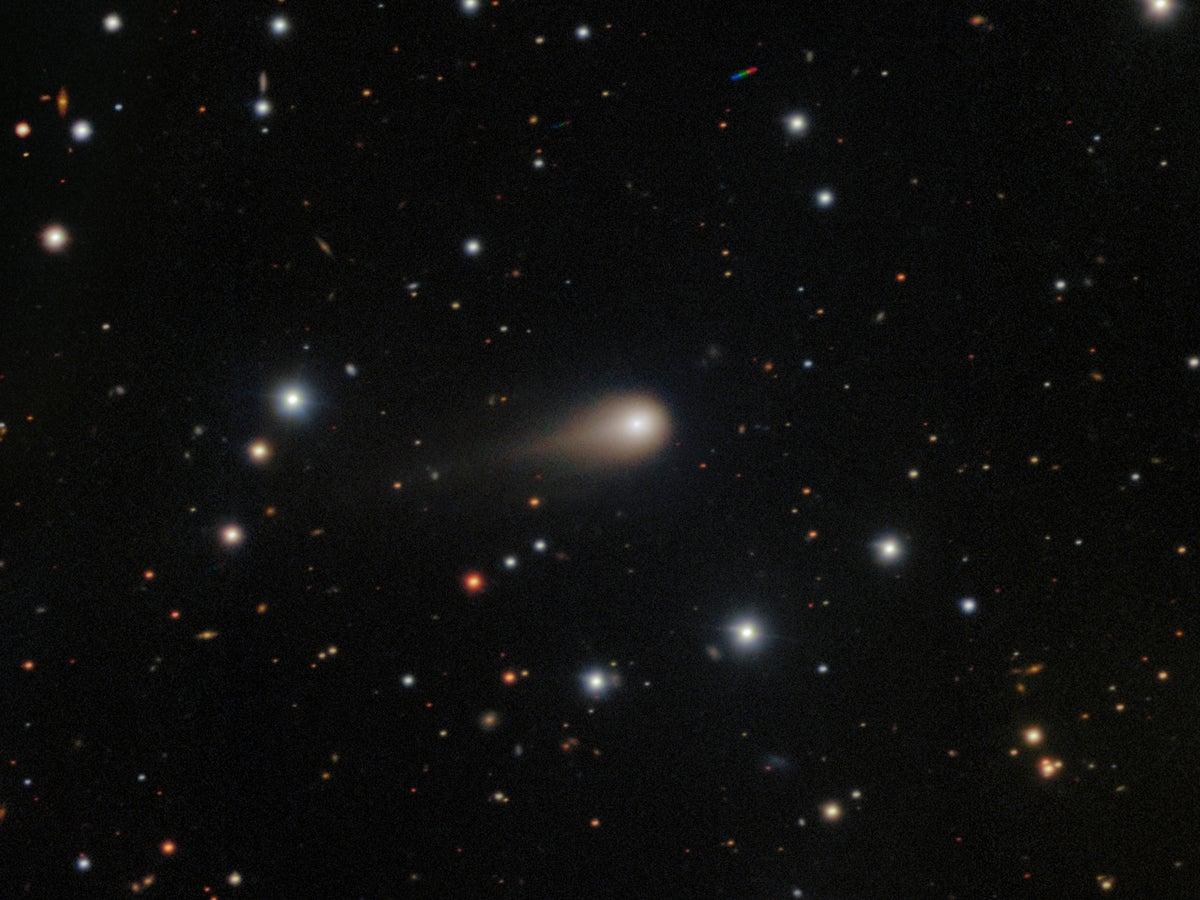 Alien Comet Reveals Our Solar System Is the Oddball