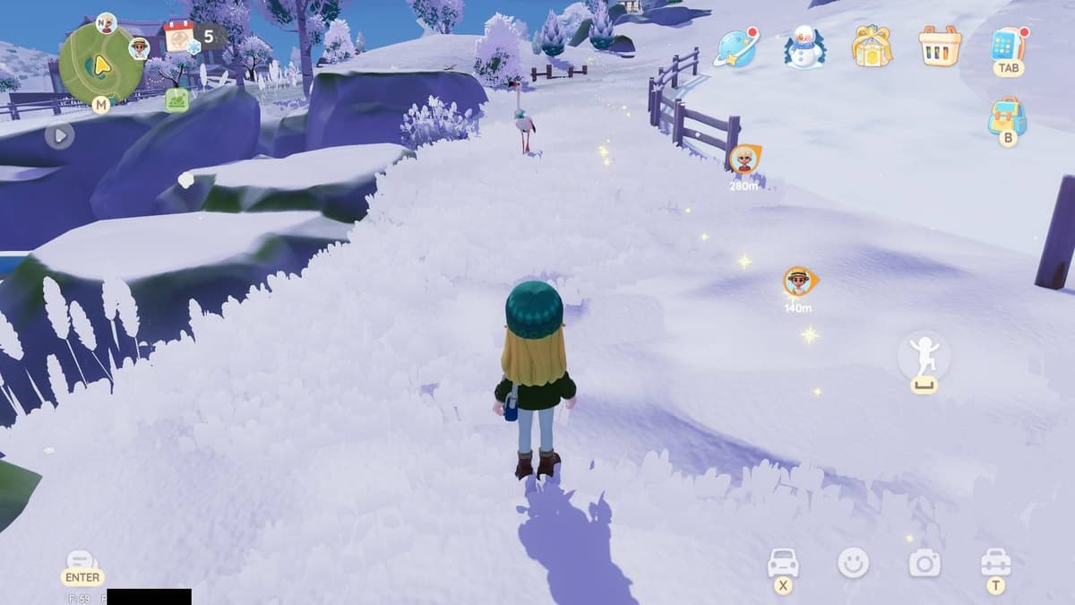 Winter Bird Locations in Heartopia