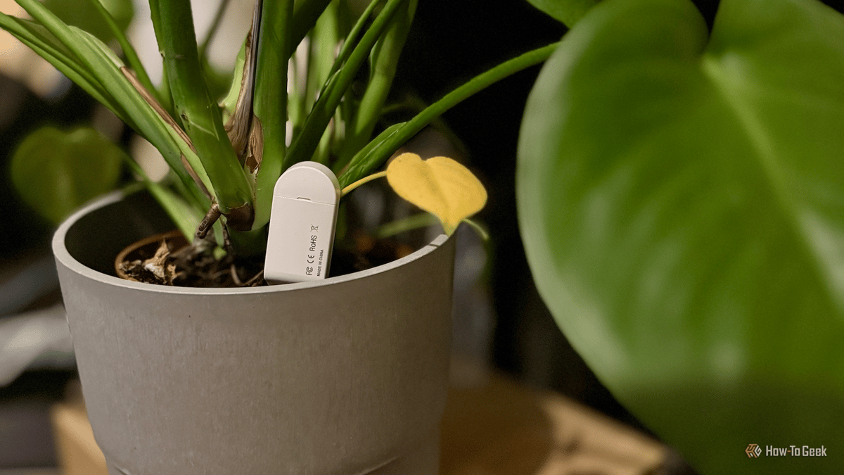 I Put a Moisture Sensor in the "Wrong" Place and Learned some Awesome Home Assistant Automations