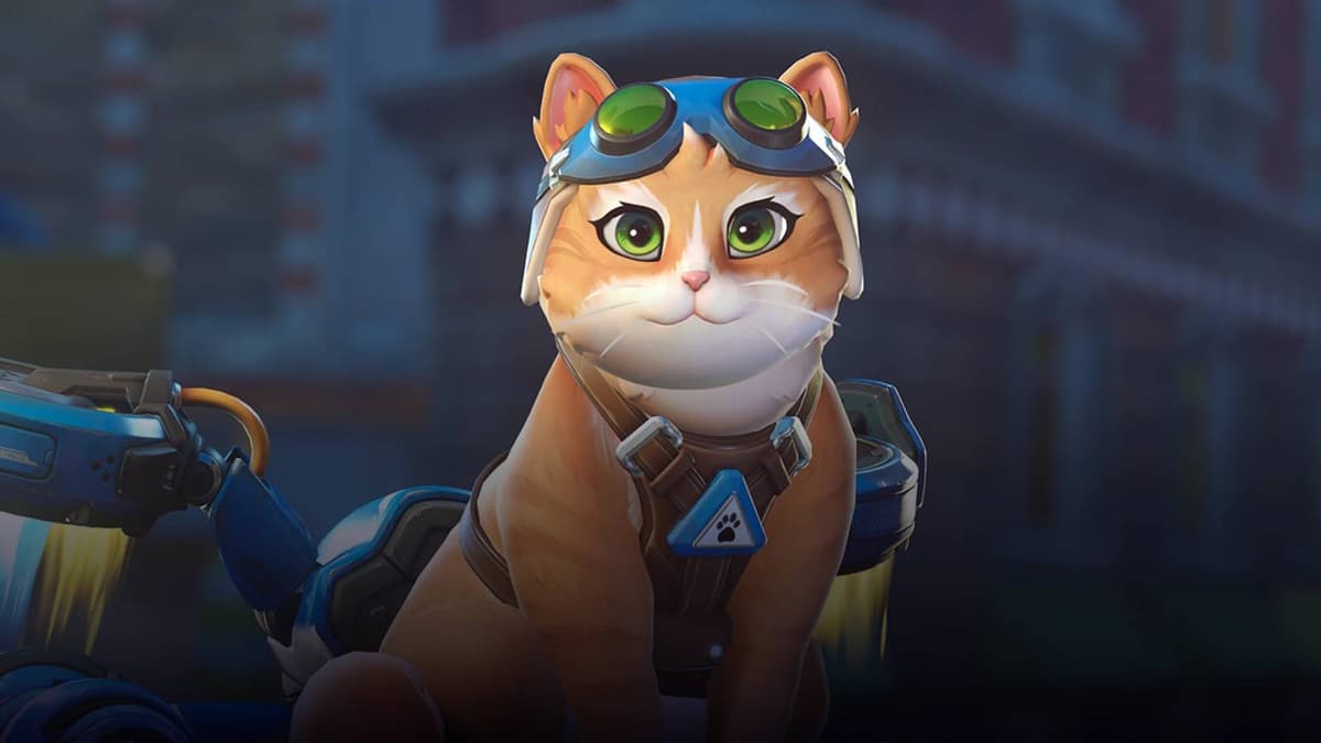 Overwatch's Jetpack Cat Has a Hidden Weakness You Can Never Counter