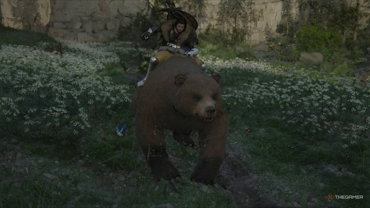 How To Get Every Mount In Crimson Desert