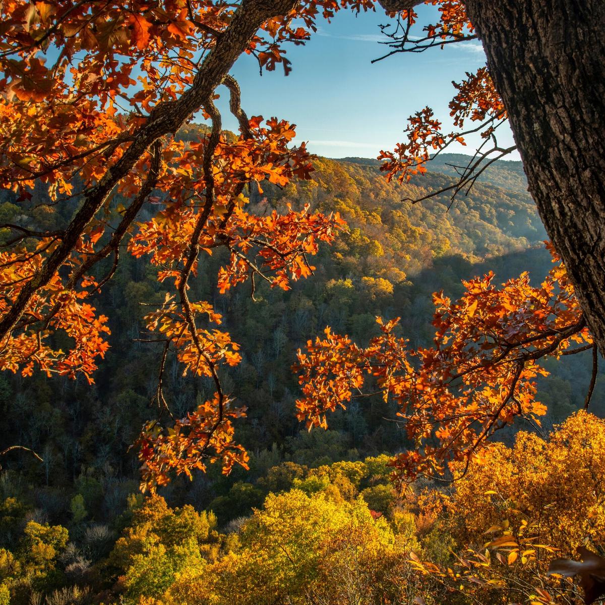Book Review: ‘Cave Mountain,’ by Benjamin Hale