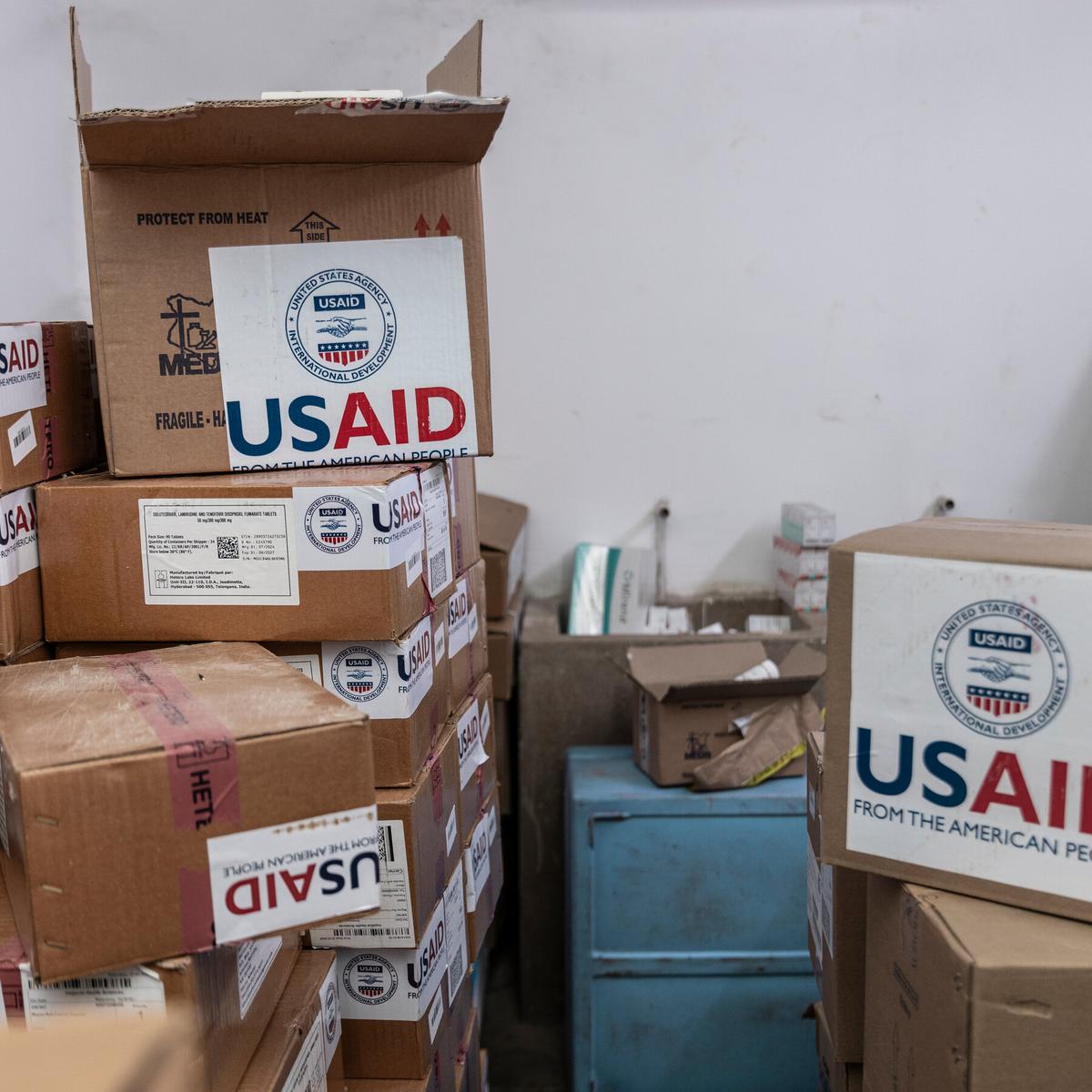 Book Review: ‘Into the Wood Chipper,’ by Nicholas Enrich