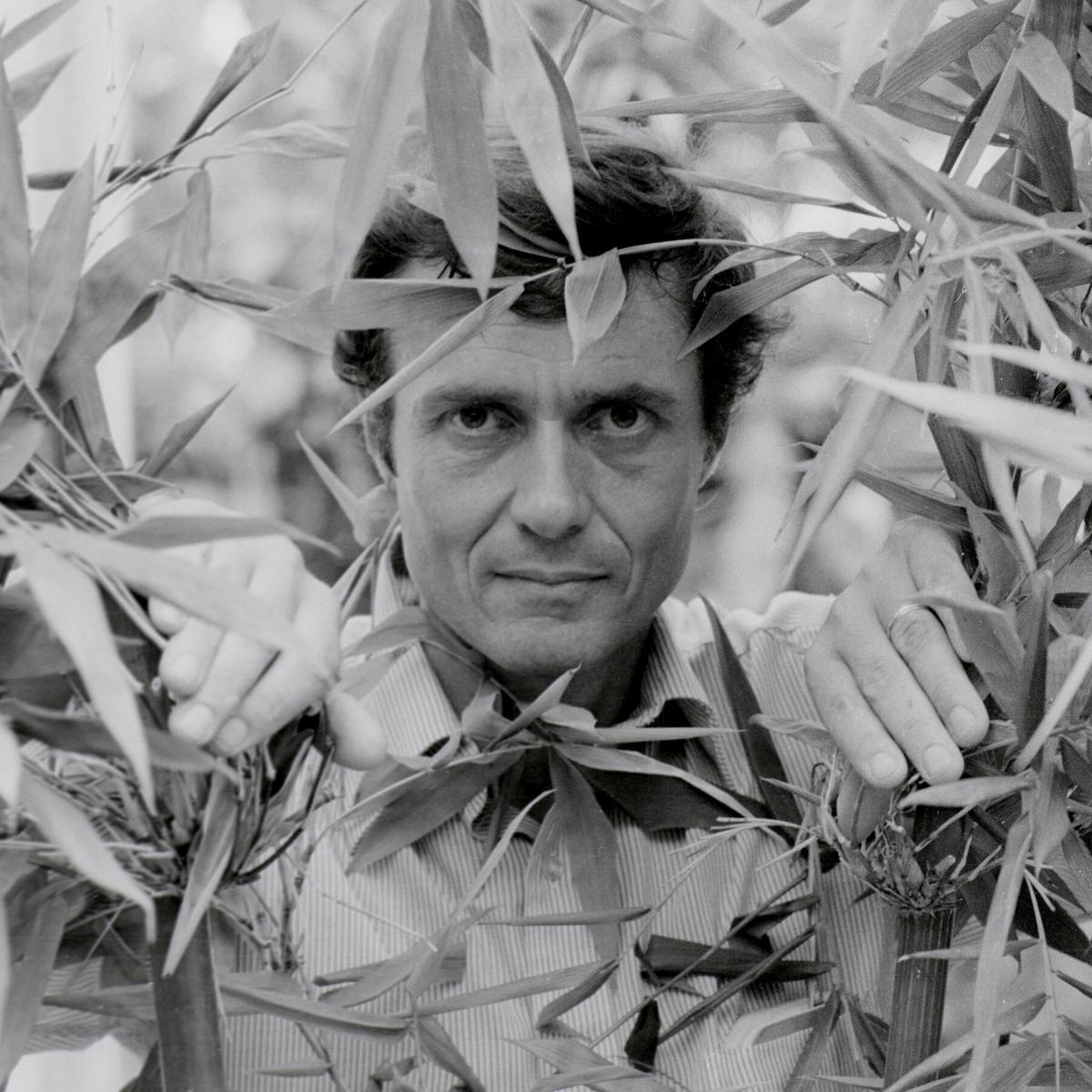 Book Review: ‘Homesick for a World Unknown,’ by Miriam Horn