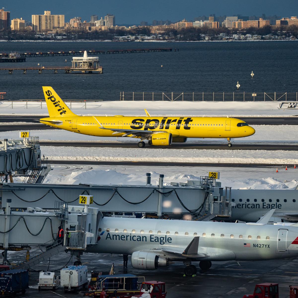 Trump Seeks Suitors for Spirit Airlines While Dismissing Another Merger