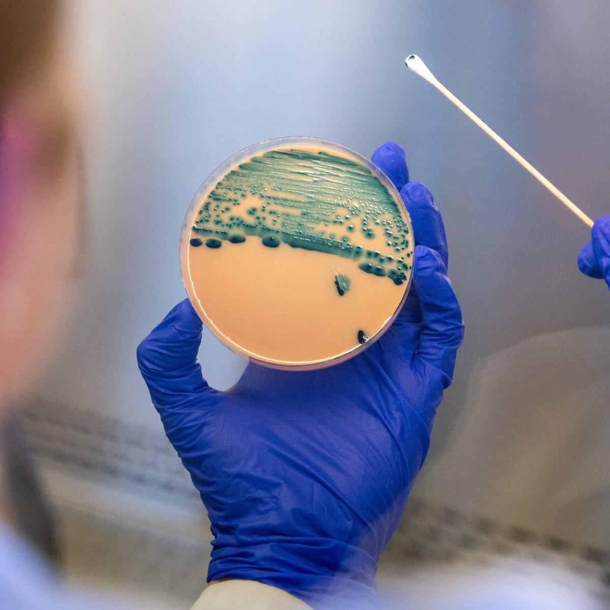 A Common Stomach Bug Has Become Harder to Treat