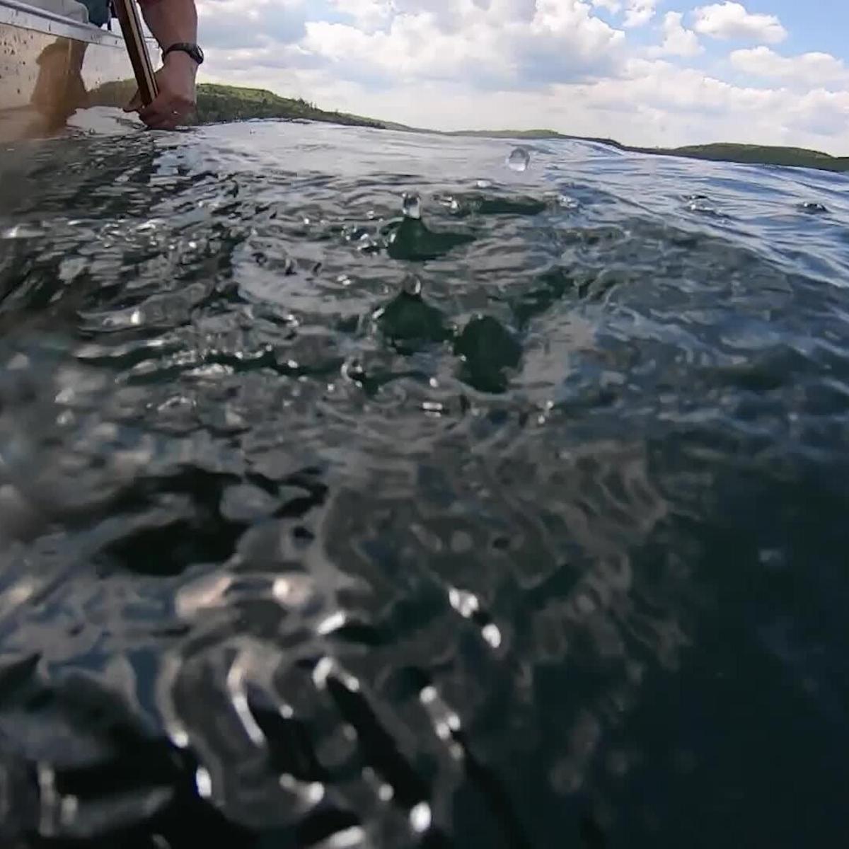 Immaculate Wilderness, Uncertain Future: Paddling the Boundary Waters