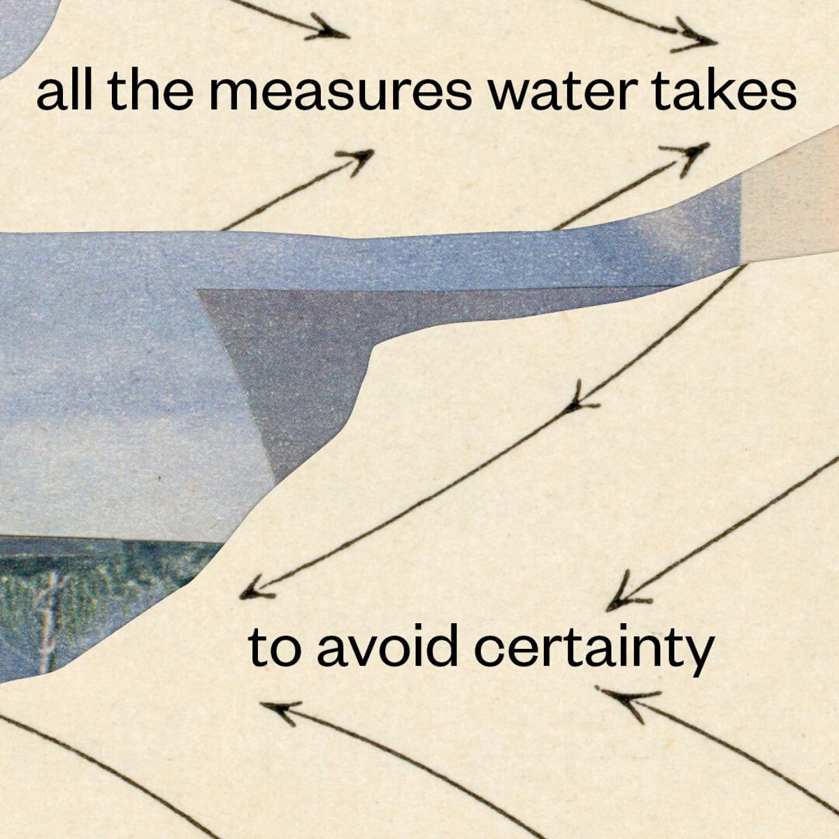 Poetry Review: ‘Wellwater,’ by Karen Solie