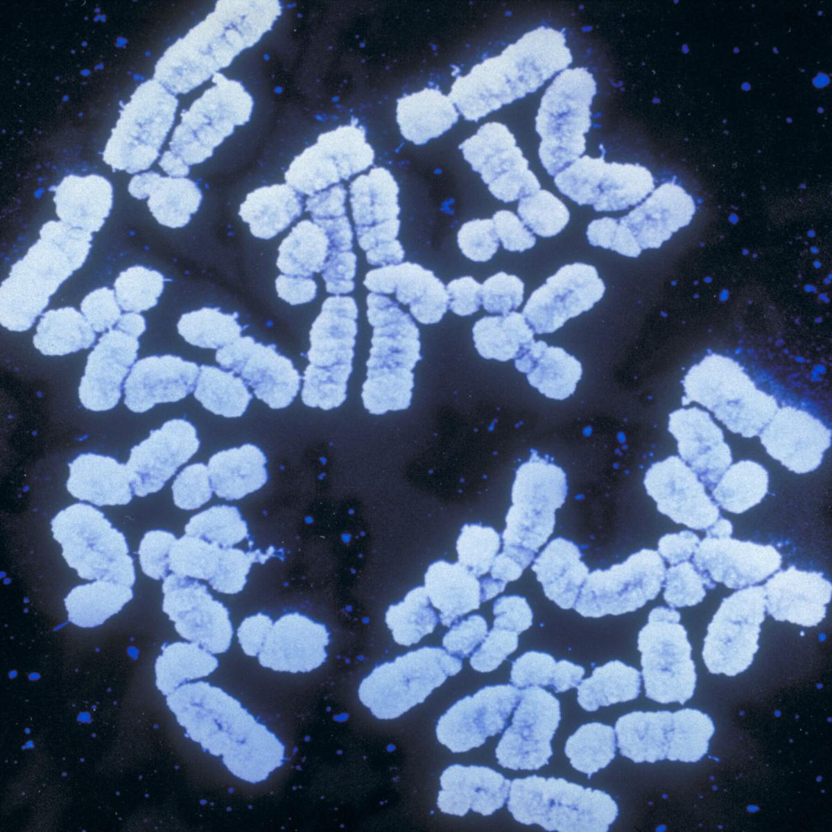 Genetic Scores Are Booming. But Will Anti-Discrimination Laws Cover Your DNA?