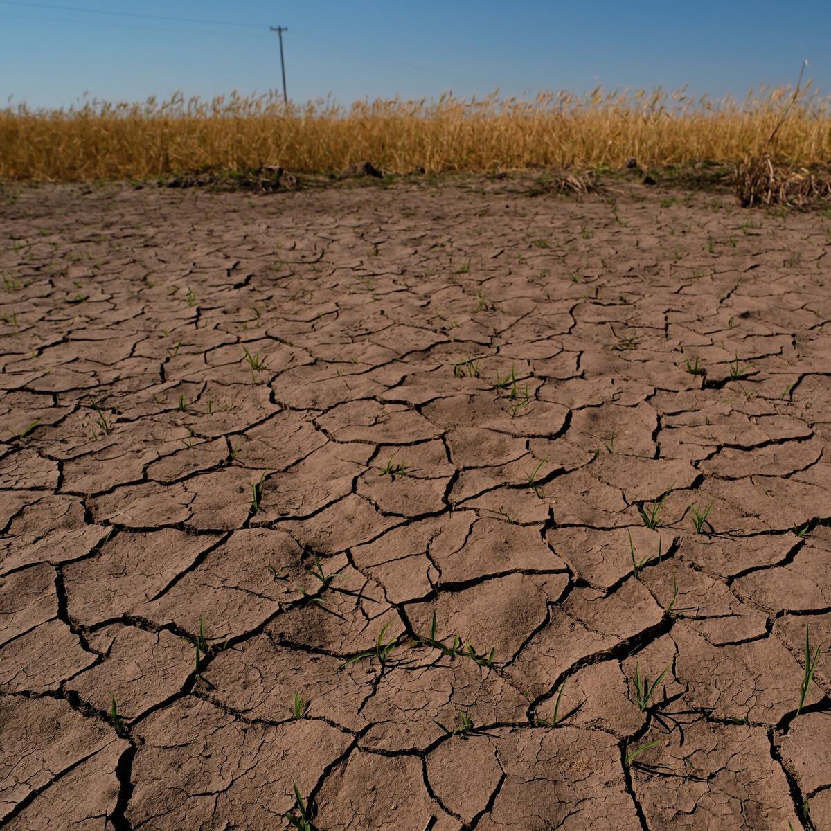 NOAA Issues El Nino Advisory