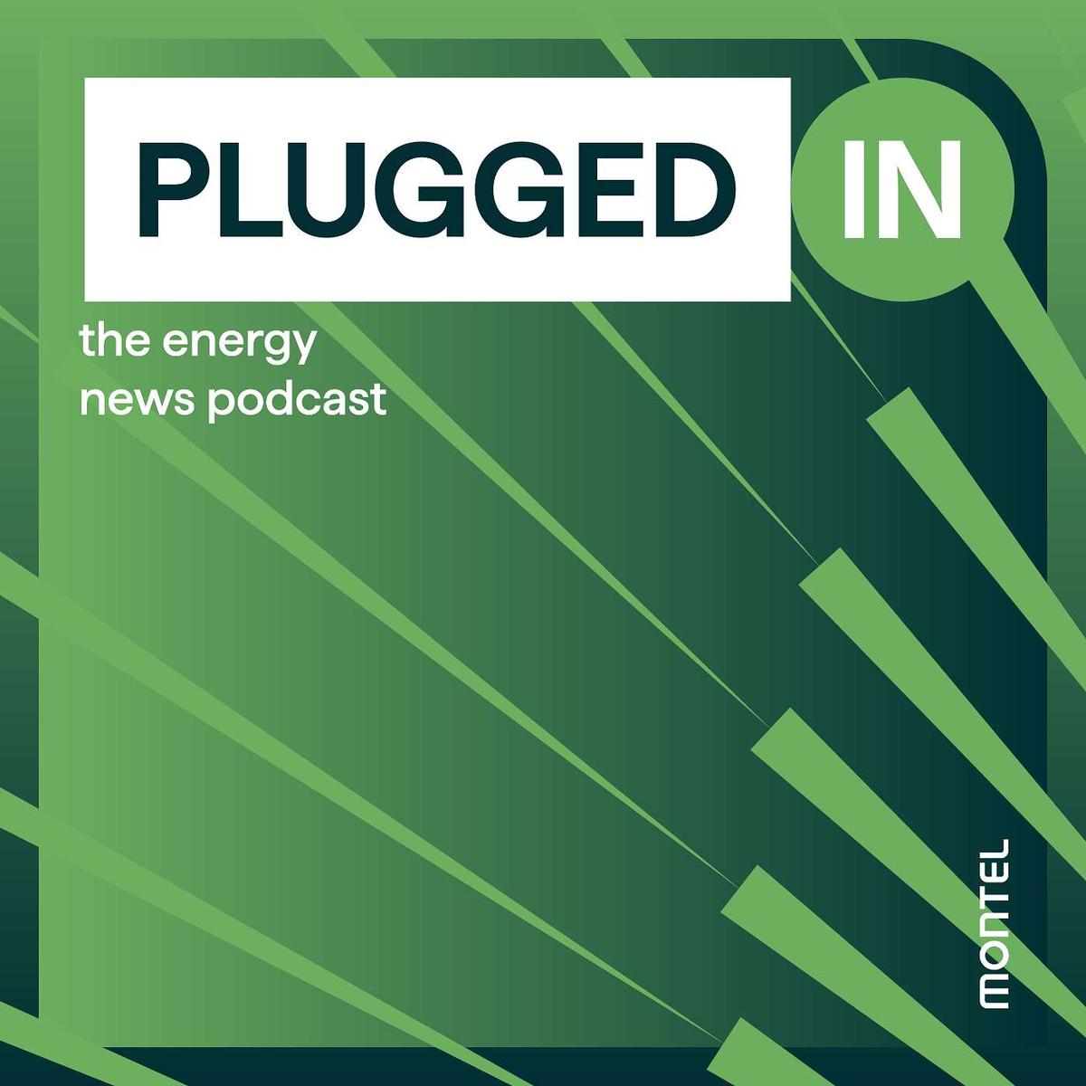 Celebrating Curtailment: Are Negative Prices Really that Bad?