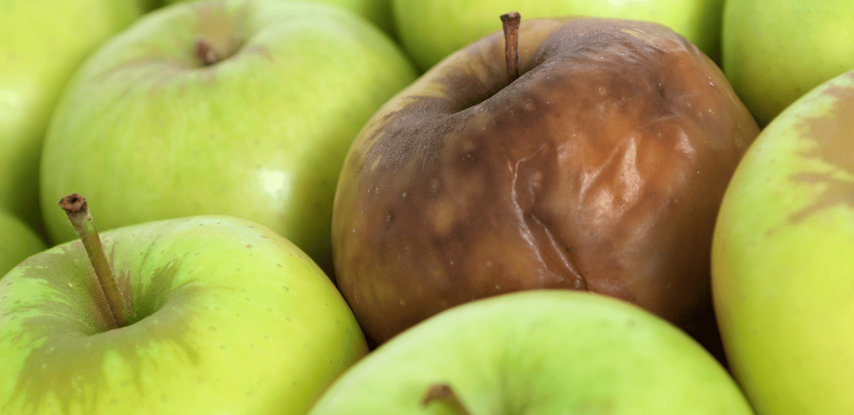 FRESH Act Is a Rotten Apple