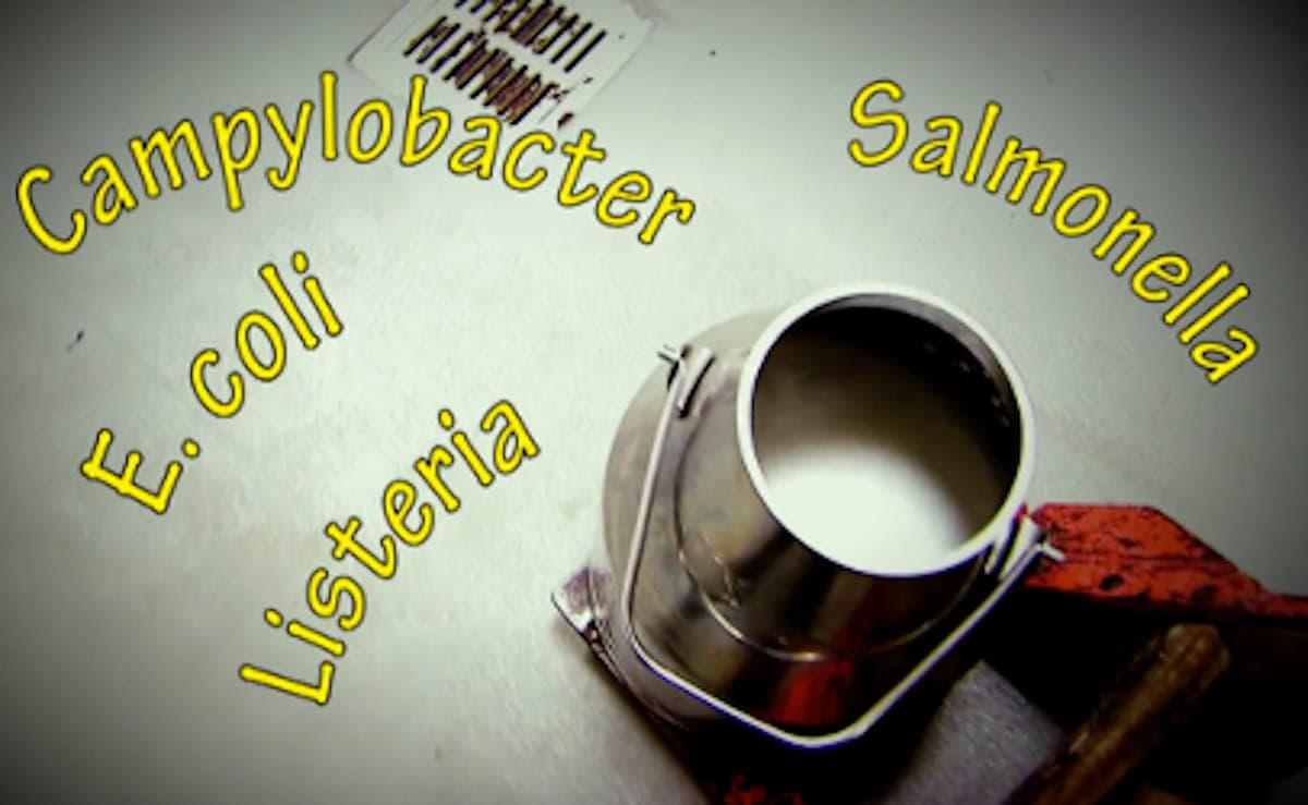 Sunday Edition: King Raw