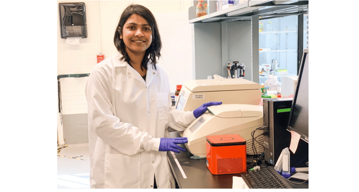 Scientists Say Nanoplastics Can Cause Salmonella to Become Stronger