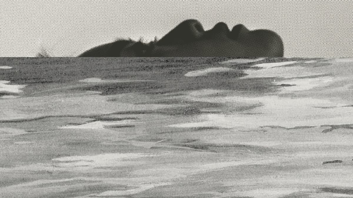 In “Discipline,” Larissa Pham Explores Predatory Art-World Mentorship