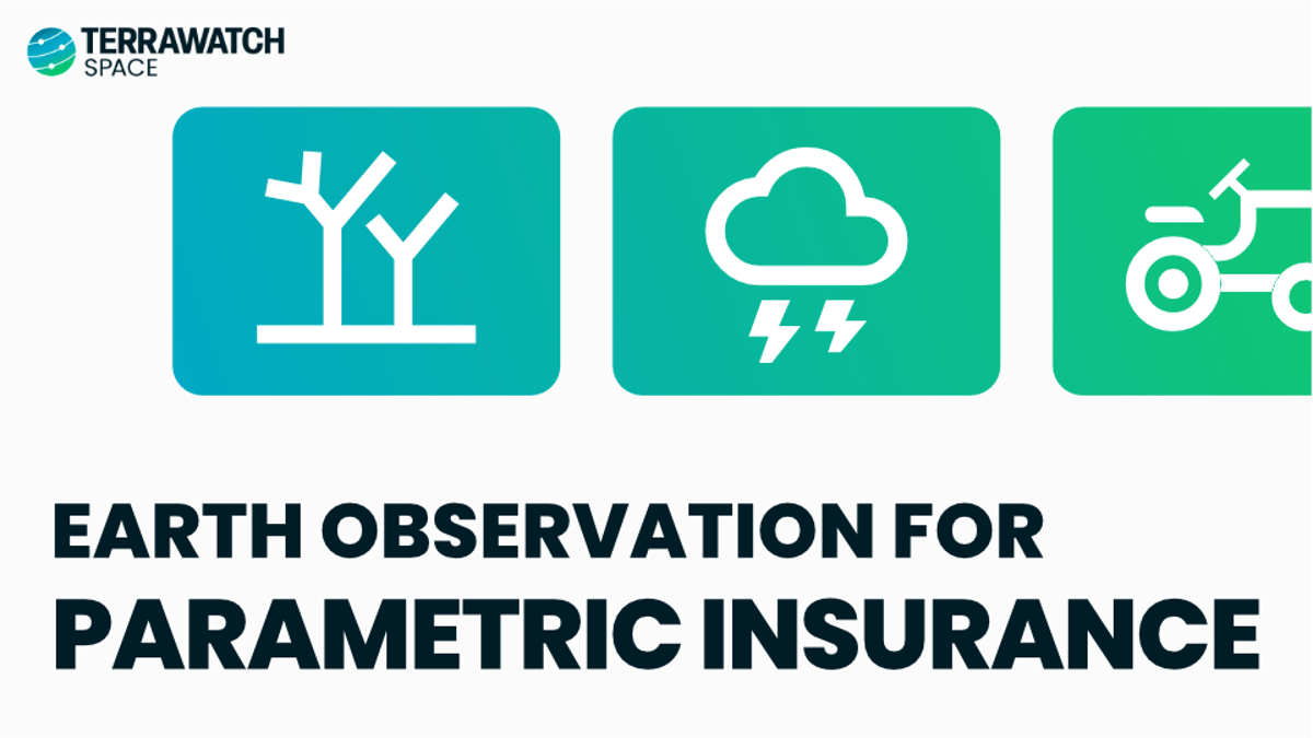 Earth Observation for Parametric Insurance