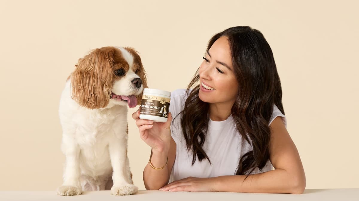 Fera Pets Expands Into Petco Stores Nationwide