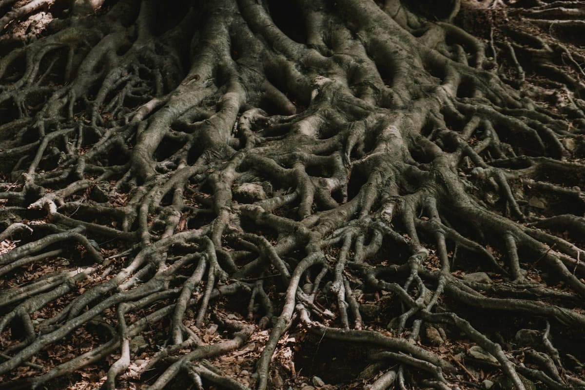 Linux Bug “Copy Fail”: Short Python Script Gives Root on… Everything?