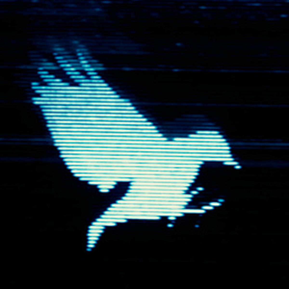 What I'd Tell Aspiring "Content Creators"