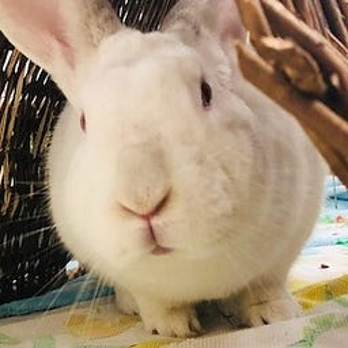 Are We in the Foothills of World War 3?