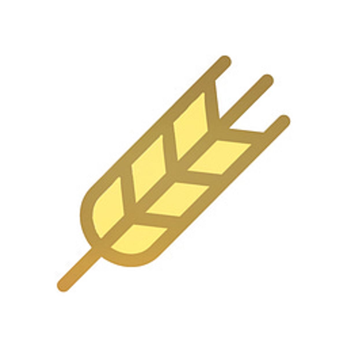 Commodity Market Movers Report - Portfolio Update 01.03.2026