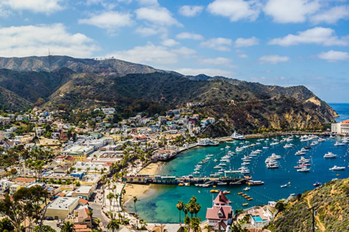 Catalina Island Subsea Cable Project Enters Survey Phase