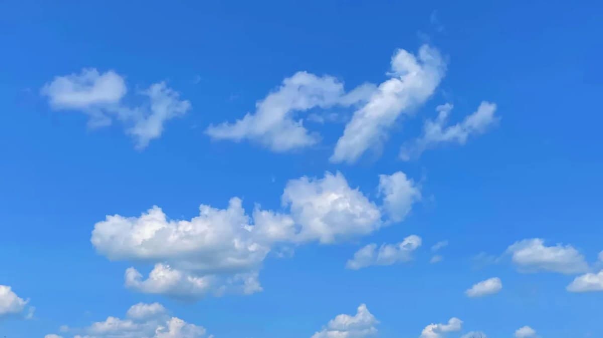 Bluesky Embraces Long-Form Content to Counter X Articles