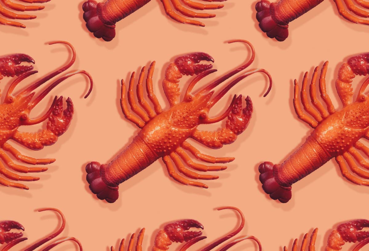 Everything You Need to Know About Viral Personal AI Assistant Clawdbot (Now Moltbot)