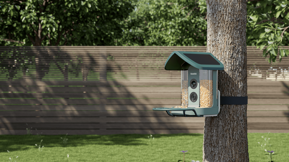 Kiwibit’s AI-Powered Bird Feeder Is My New Backyard Buddy