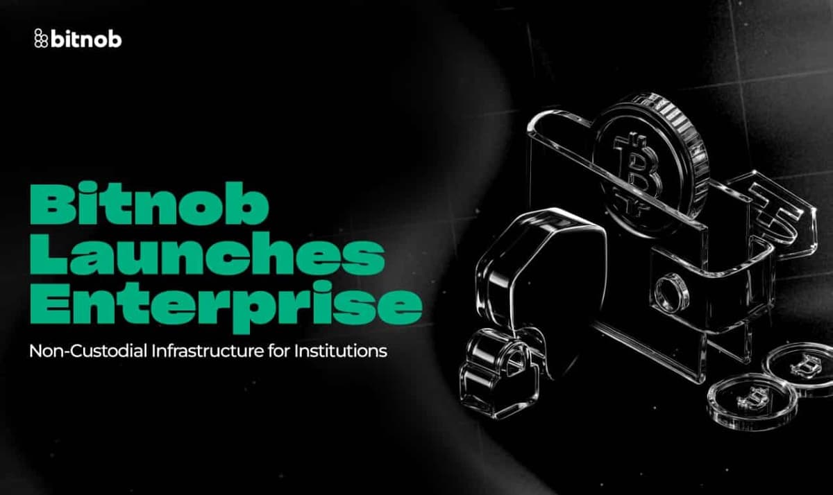 Bitnob Launches Enterprise: Non-Custodial Infrastructure for Institutions