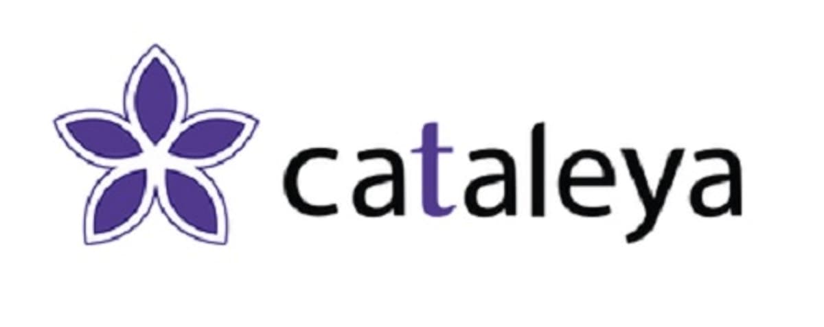 DID Telecom, Cataleya Partner to Bring Flagship Infrastructure in Amsterdam