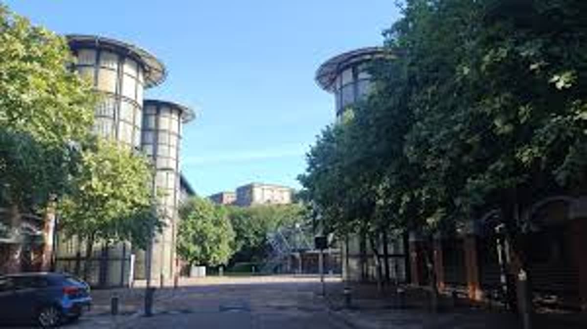 The University Malaise