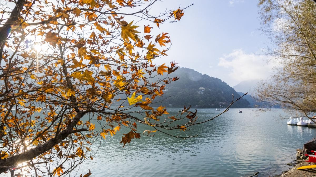 A Gentle Love Story | Review of Once Upon a Summer by Manjul Bajaj