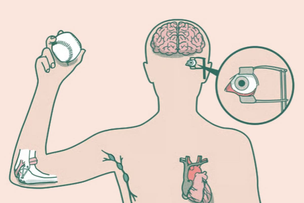 This Playful Interactive Reveals the Medical Advances That Have Made Life Better … and Sometimes Longer