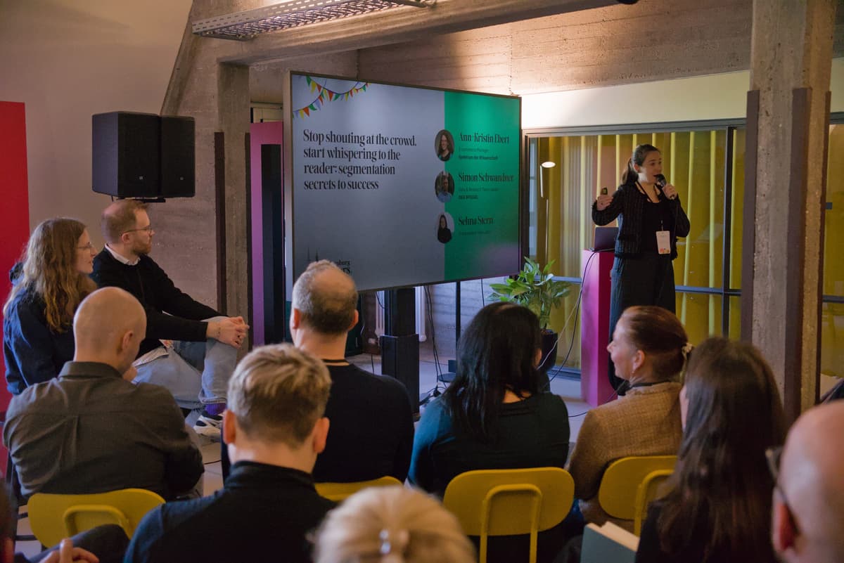 Mastering Audience Segmentation with Selma Stern