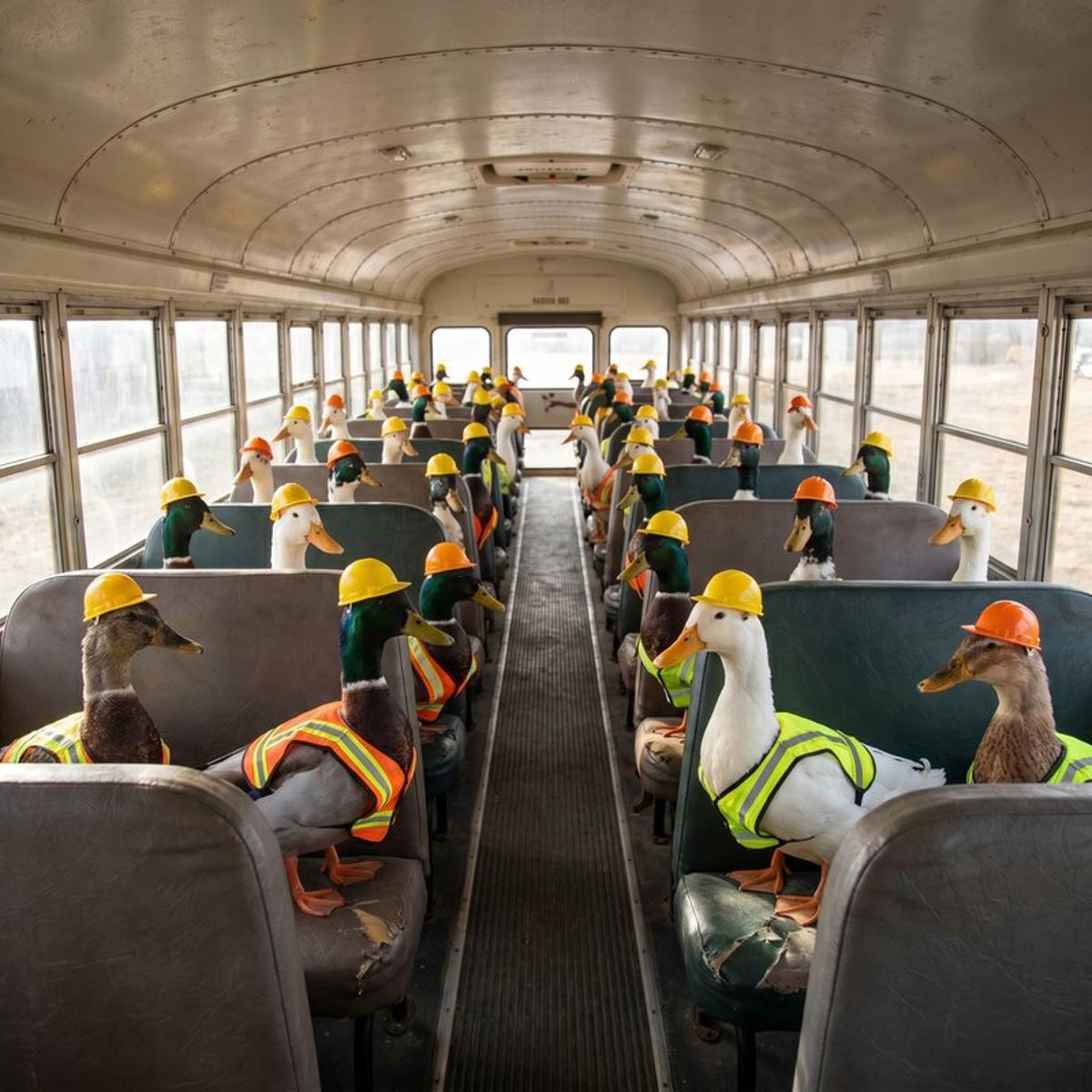 Christophe Pettus: All Your GUCs in a Row: Autovacuum_worker_slots