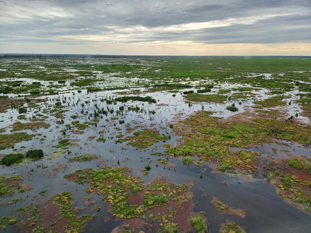 CEFC Provides $10M Impact Loan to Nari Nari Tribal Council for Great Cumbung Wetland Acquisition