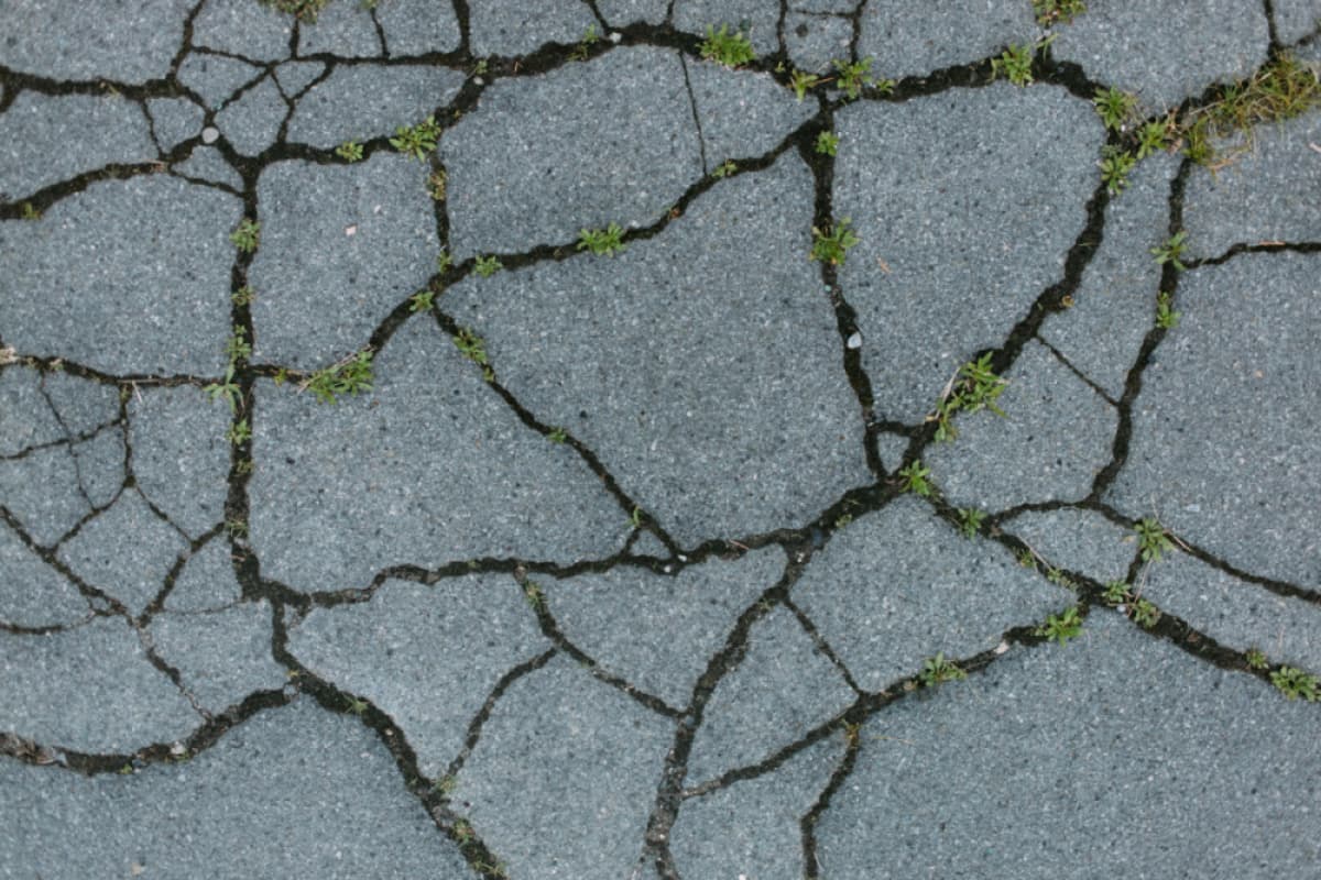 Dual-Eligible Patients Fall Through the Cracks in Substance Use Disorder Treatment