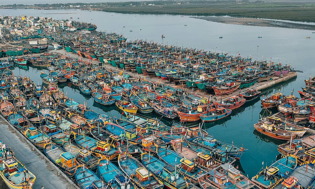First WTO Fish Committee Meeting Hears Warning of Notifications Burden